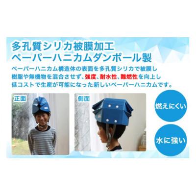 ふるさと納税 伊勢原市 「テレビで紹介されました!」軽くて強い!アウトリーチ防災用帽子2個セット(黒・青) [0225] |  | 02