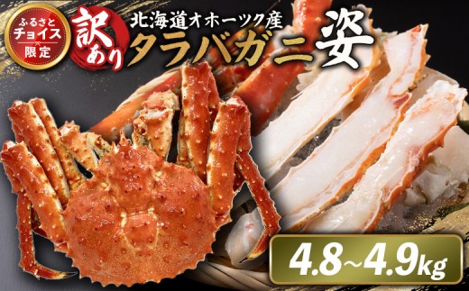 
                  《チョイス限定》北海道オホーツク産 訳アリ 冷タラバガニ姿　4.8～4.9kg | オンライン申請 ふるさと納税 北海道 雄武 北海道産タラバガニ タラバ カニ かに 蟹 冷凍 海産 海産物 ギフト 贈り物 お取り寄せ ワンストップ マイページ 雄武町【1242501】
                