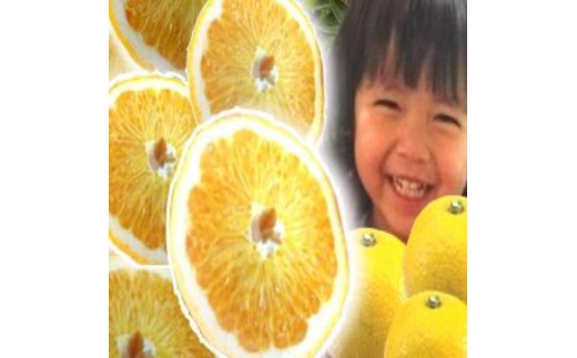 
            和歌山産 八朔 秀品 3kg(サイズおまかせ)
          