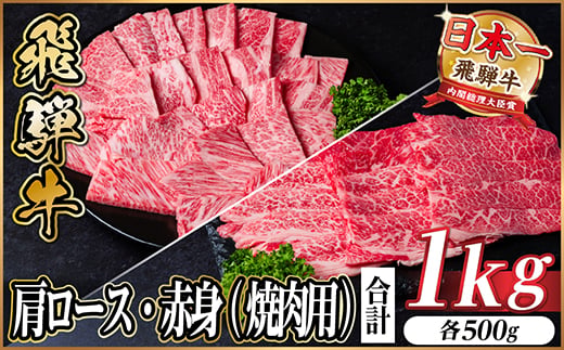 飛騨牛　厳選肩ロース・赤身(焼肉・BBQ用) 1kg(各500g) 黒毛和牛　小分け　A4～A5等級【1667361】