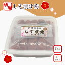 【ふるさと納税】【特選】しそ漬け梅1kg 2L | 梅干 うめぼし 南高梅 しそ梅干 紫蘇 和歌山