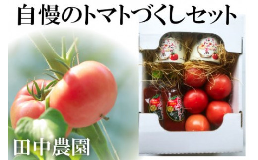 
AP5 田中農園自慢のトマト1kgと缶詰とピューレーセット
