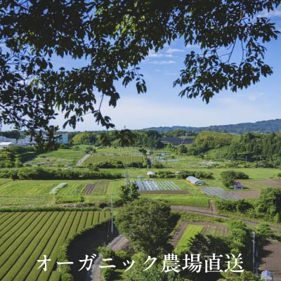 ふるさと納税 掛川市 【毎月定期便】しあわせ野菜畑の有機野菜　Lセット　(安心の有機JAS認証　オーガニック野菜)全12回 |  | 01