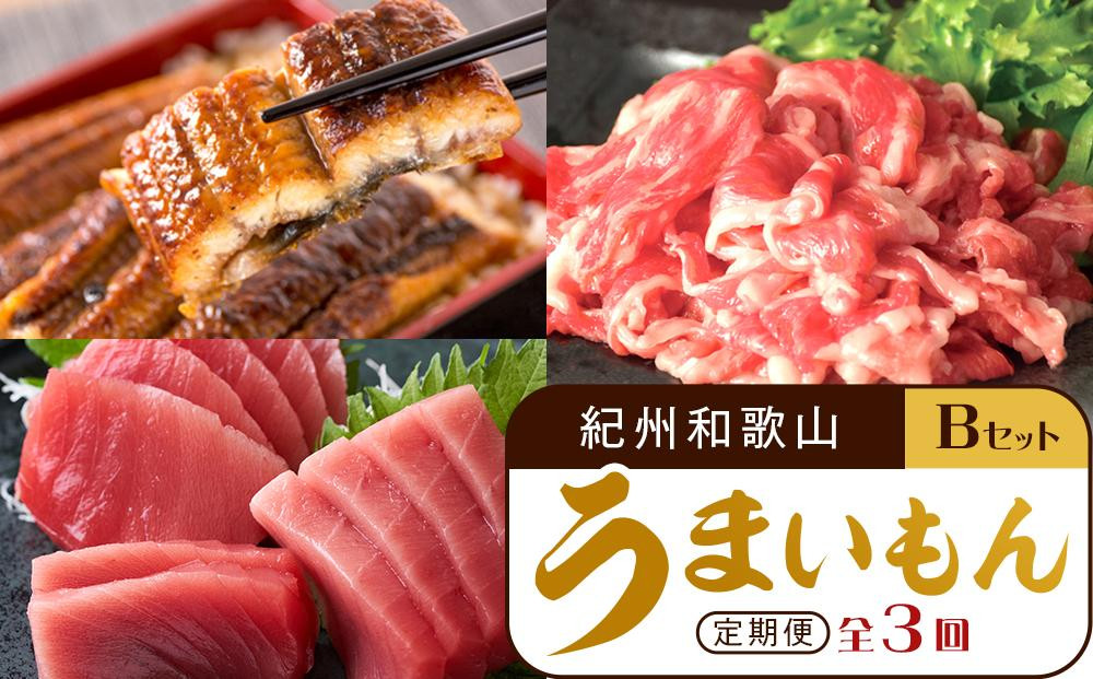
            【定期便 全3回】紀州和歌山うまいもんセットB（生まぐろ・うなぎ蒲焼・熊野牛）【UT126】
          