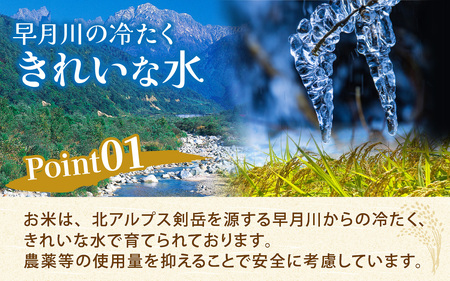 25年10月中旬以降順次発送　玄米  5kg 富山県滑川産「てんこもり」与文のお米 / 産地直送 袋 ブランド米 お米 白米 ご飯 ごはん 富山 滑川市 アグリめぐみ [A-050003]