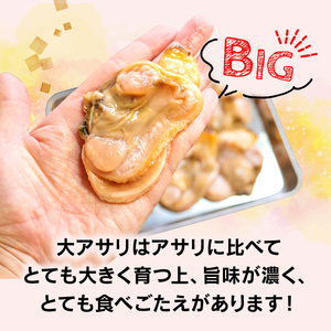 期間限定 値下げ 大あさり むき身 1kg ( 500g × 2パック ) 貝 海鮮 大 あさり むき身 魚介 海の幸 新鮮 冷凍 家族 夏 バーベキュー BBQ ホイル 焼き 鍋 揚げ物 炊き込み 