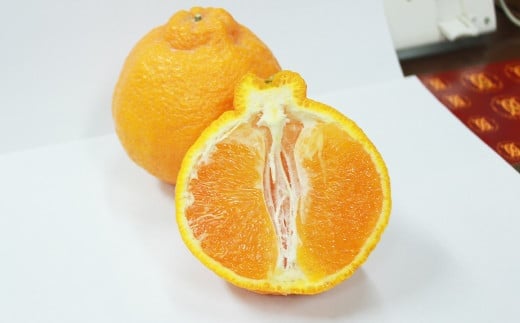 熊本県産 不知火柑 約4.5kg しらぬい 果物 柑橘類 みかん 蜜柑 【2026年2月下旬発送開始】