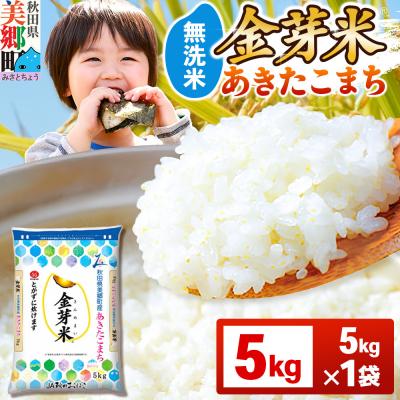 ふるさと納税 美郷町 令和7年産 金芽米 あきたこまち 5kg|01_amd-920501