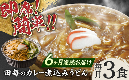 うどん 【6回定期便】田毎のカレー煮込みうどんセット [ANFP007] うどん