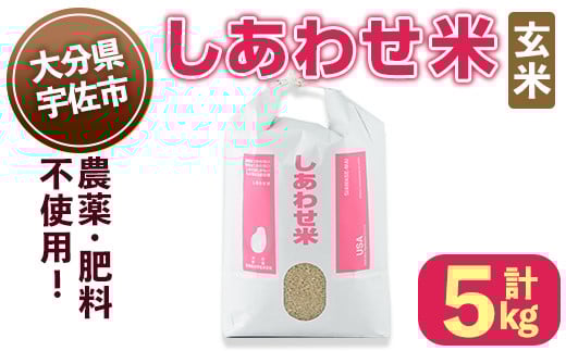 ＜11月1日先行受付開始、11月以降発送＞しあわせ米 玄米(計5kg) お米 5キロ 常温 常温保存 【101000402】【宇佐本百姓】