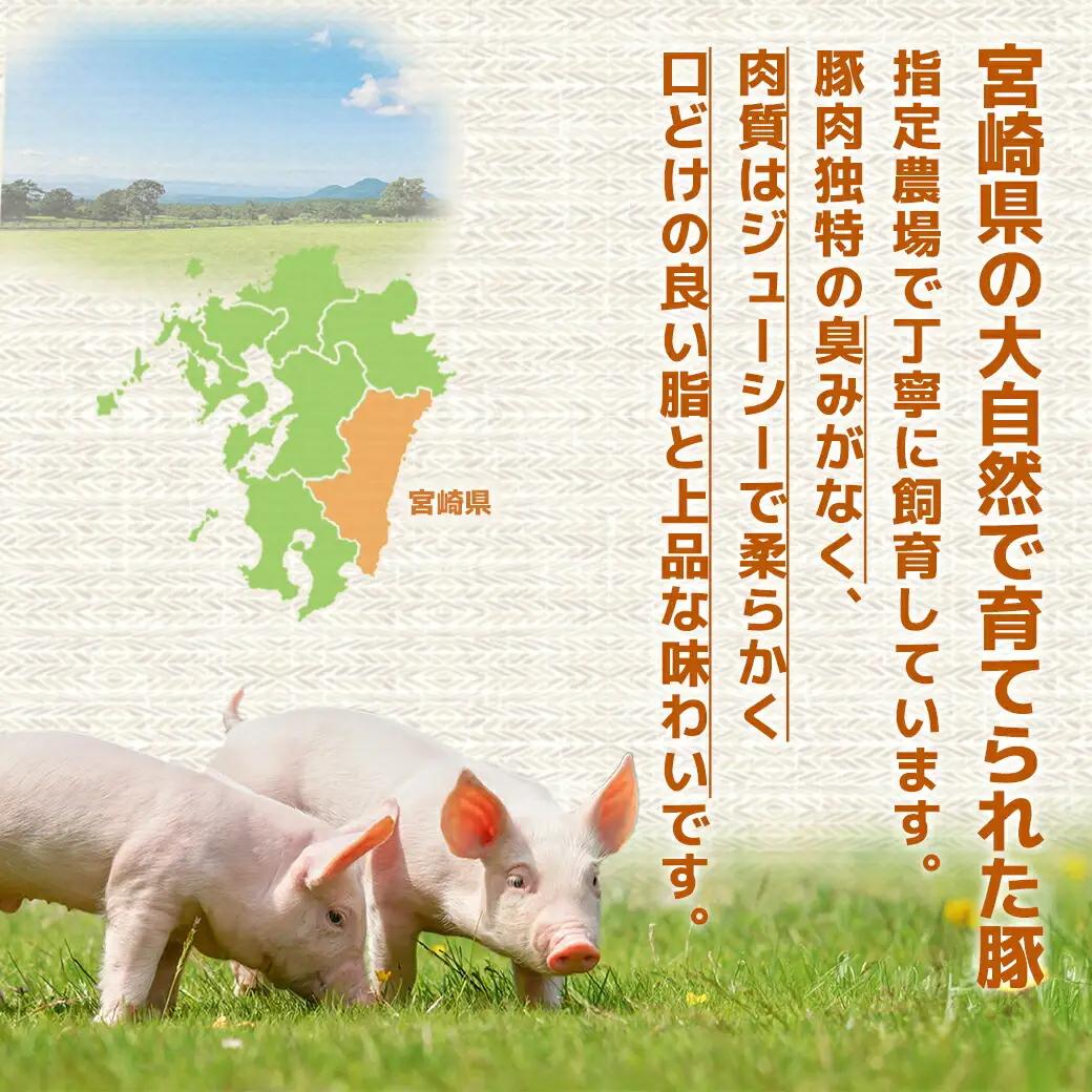 宮崎県産豚肉ロースカツ用30枚〔18-M601〕_(都城市) 宮崎県産豚肉 ロースカツ用 100g×30枚 とんかつ トンテキ ポークステーキ