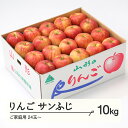 【ふるさと納税】 りんご サンふじ ご家庭用 約10kg(24~50玉) 山形県産 tf-risfm10