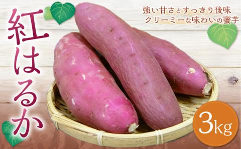 紅はるか 約3kg