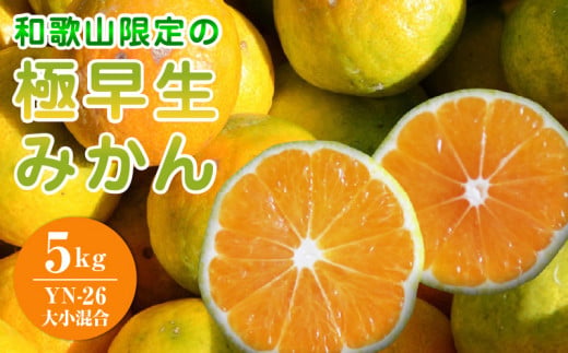 EA6105_和歌山県限定の極早生みかん 5kg (YN-26 大小混合)
