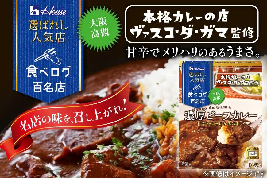 カレー レトルト ハウス 選ばれし人気店 濃厚ビーフカレー＆スパイス織りなすビーフカレー 各10個  計20個