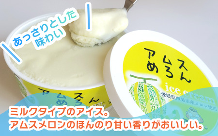 アムスめろんアイスクリーム16個　周桑産メロン使用｜ アイスミルク