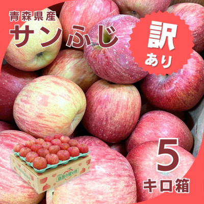 
            ＜令和7年1月下旬頃発送＞産地直送 青森県産 訳ありサンふじ 5キロ箱 10～23玉 青森県産りんご【1288123】
          