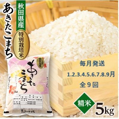 ふるさと納税 大潟村 【発送月固定定期便】毎月発送　特別栽培米あきたこまち5kg全9回