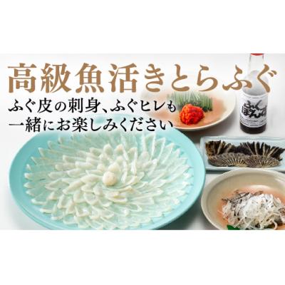ふるさと納税 山口市 とらふぐの刺身(33cmプラ皿) C026