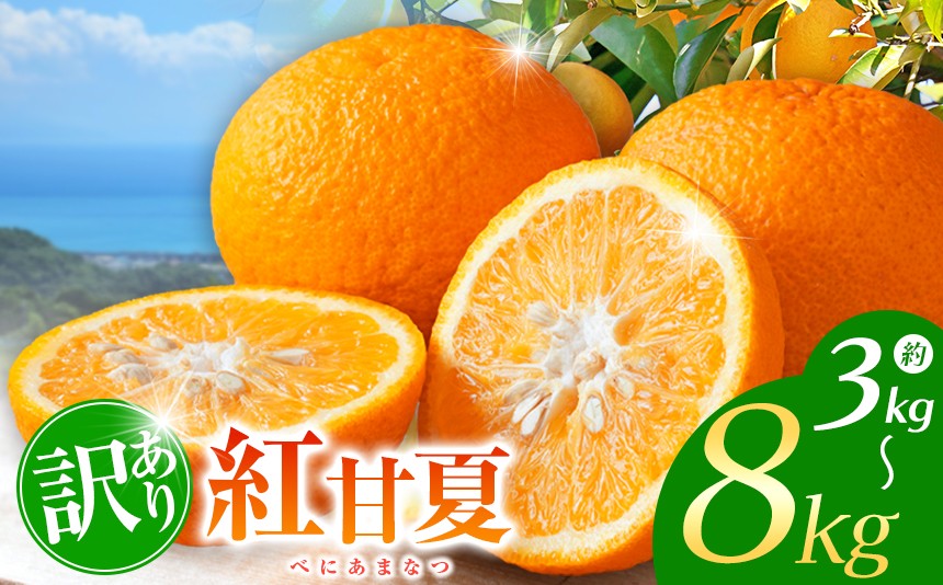 
            【選べる内容量】訳あり 紅甘夏 約 3～8kg | フルーツ 果物 くだもの 柑橘 ミカン みかん 甘夏 あまなつ 熊本県 玉名市
          