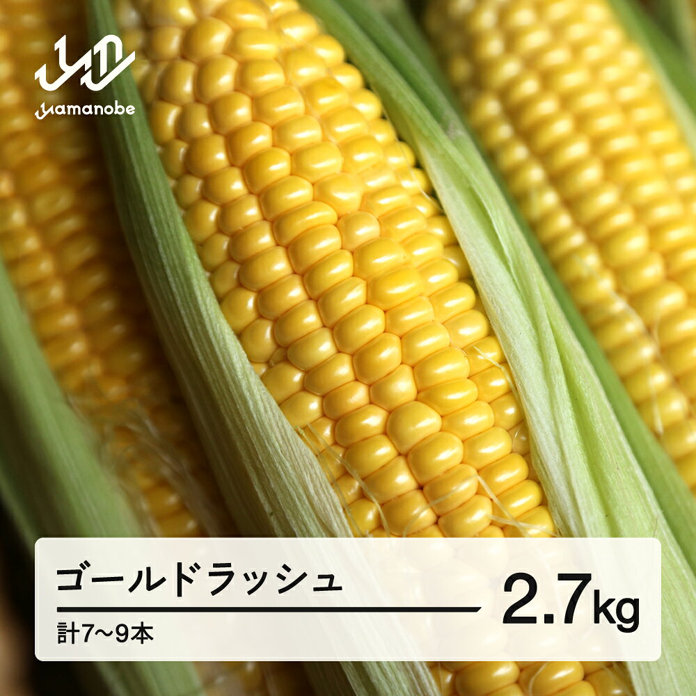 【ふるさと納税】 《先行予約》2026年 山形県産 ゴールドラッシュ 2.7kg(7-9本）とうもろこし トウモロコシ コーン 夏 野菜 やさい ※沖縄・離島への配送不可 送料無料 ot-cngxx2700