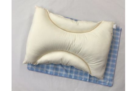 日本製 びっくり快眠サポート ソフト＆ホールド枕 枕カバー ブルー2枚付 [2334]