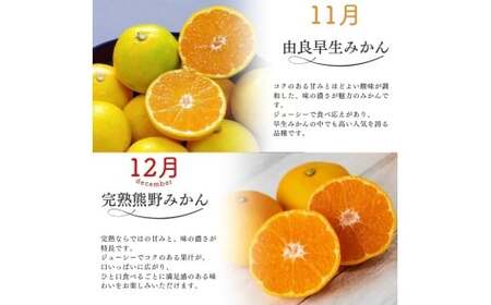 みかん 定期便 4回 計12kg【超極早生温州・極早生温州・由良早生・早生温州】みかん【nkmr-tkb0003】