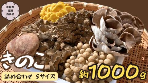 きのこ の 詰め合わせ Sサイズ 約1000g【茨城県共通返礼品 城里町】 キノコ 舞茸 あわび茸 たもぎ茸 しいたけ ぶなしめじ [CX001sa]