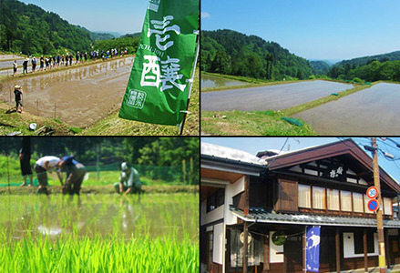 H4-52新潟県限定　壱醸シリーズ３種飲み比べセット720ml×3本【越銘醸株式会社】