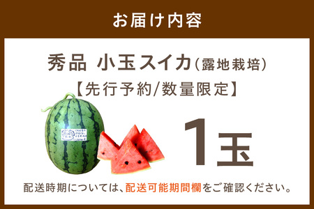 【先行予約／数量限定100】にしまるスイカ 秀品 1玉入り（露地栽培）（2025年7月中旬から発送）