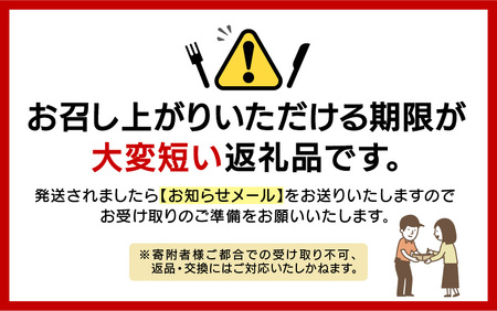 【先行予約】【期間限定】天然！活アワビ 大中オガイ・メガイ セット 計4個 【2024年11月下旬以降順次発送予定】鮮度抜群 刺身 お造り バター焼き あわび 鮑[m21-j003]