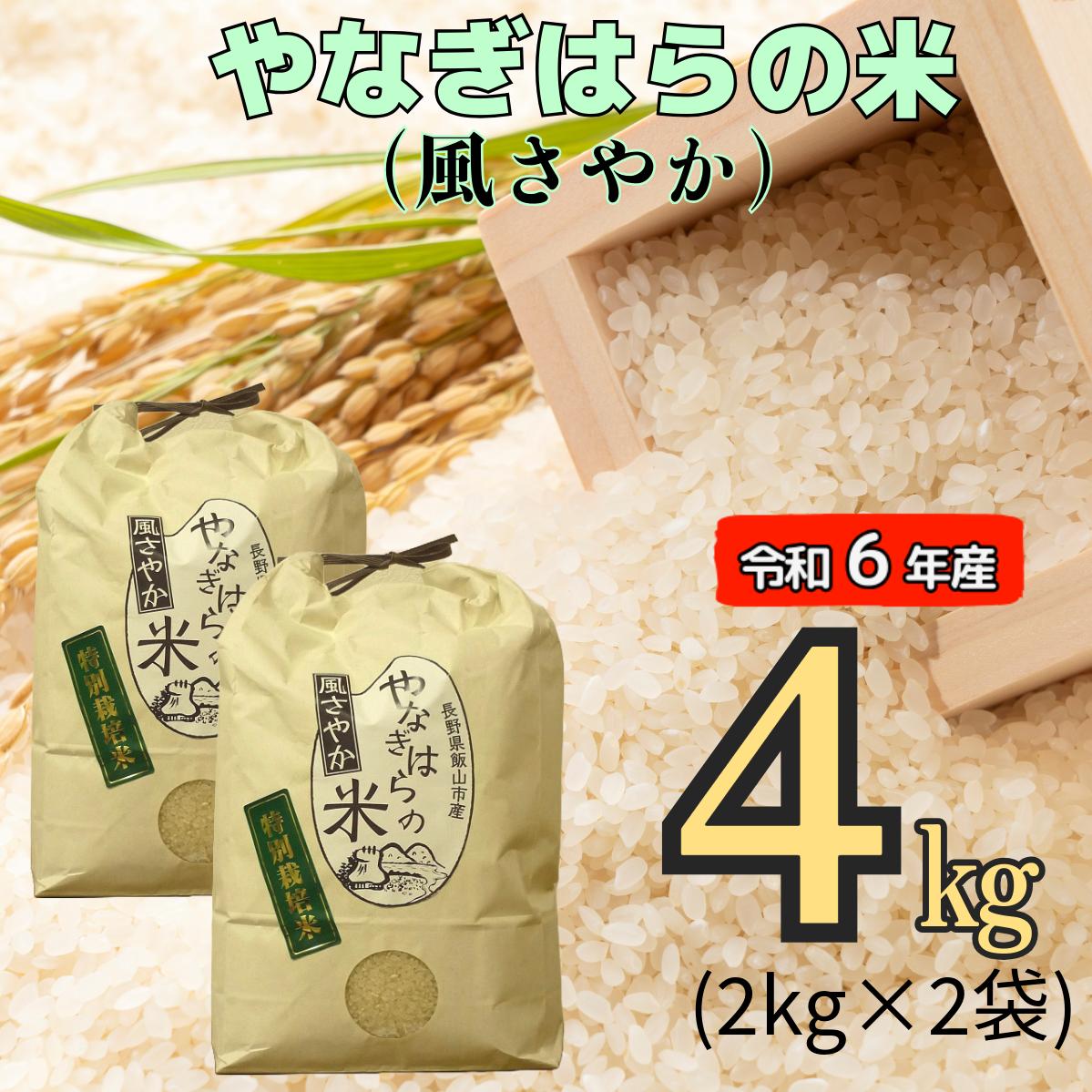 【令和6年産】「やなぎはらの米　風さやか」4ｋｇ (6-41A)