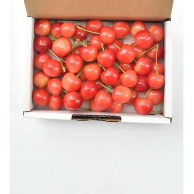 ふるさと納税 山梨市 【発送月固定定期便】採りたて!フルーツ定期便全6回 |  | 01