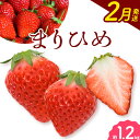 【ふるさと納税】【2025年2月発送】和歌山県産ブランドいちご「まりひめ」約300g×4パック 計1.2kg 日高町厳選館《2025年2月上旬-3月中旬頃出荷》和歌山県 日高町 いちご 苺 まりひめ フルーツ 果物 スイーツ 送料無料【配送不可地域あり】