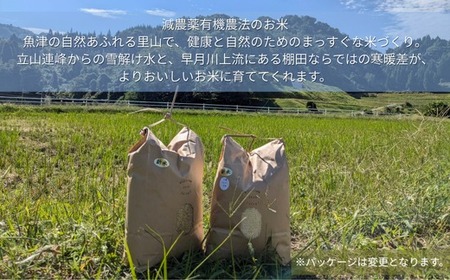 令和7年産 白米 環境保全米 コシヒカリ 10kg｜棚田米 お米 こしひかり 新米 こめ コメ 精米 おこめ もちもち 冷めても 美味しい 高品質 富山 魚津※北海道・沖縄・離島への配送不可