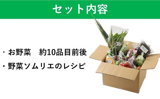 葉なファームセレクト　うすき旬のお野菜セット