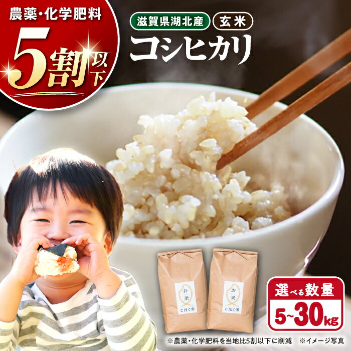 【ふるさと納税】＼レビューキャンペーン対象／＜選べる内容量＞【令和7年産新米】米 滋賀県産 湖北のコシヒカリ 玄米 5kg〜30kg【環境こだわり米】長浜市/エース物産[AQAK001] 米 お米 白米 こしひかり こめ コメ 新米 健康志向 健康人気 おすすめ