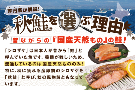 【訳あり】秋鮭ドンっ！無塩 秋鮭 切り身 1.5kg 【BT000PB05】（ さけ サケ 秋鮭 切身 鮭 切り身 鮭 訳あり 鮭 大人気 鮭 海鮮）