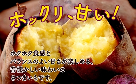 北海道 新しのつ産 さつまいも 紅あずま 計2kg サツマイモ 薩摩芋 芋 甘い  ホクホク 農作物 旬 採れたて 焼き芋 野菜 スイーツ おやつ お取り寄せ ご褒美 JA新しのつ 送料無料