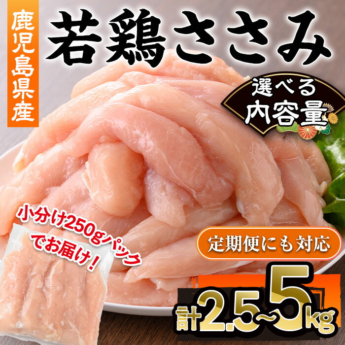 【ふるさと納税】＜配送回数・内容量が選べる＞＜定期便・全3回＞鹿児島県産若鶏ささみ(計2.5〜5kg・250g×10〜20P/定期便2.5kg×3回) 鹿児島県 若鶏 鶏肉 鶏 肉 ささみ 国産 切身 冷凍 小分け【株式会社羽根】