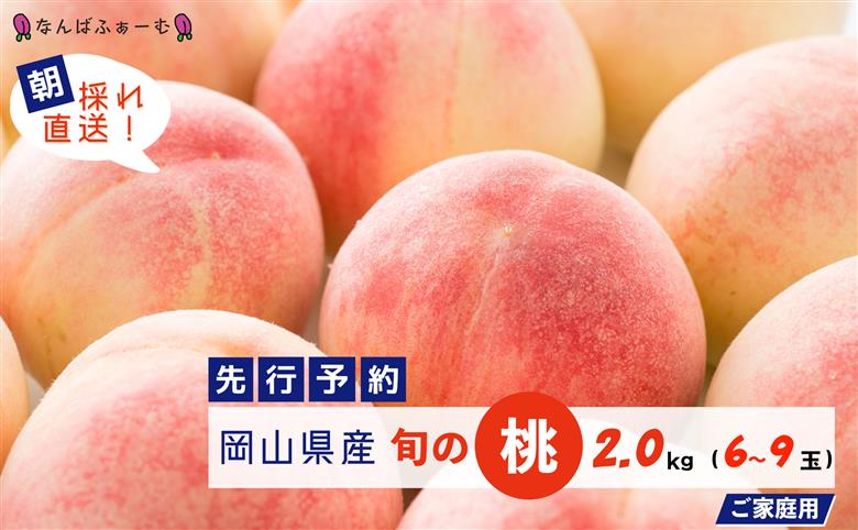 【2025年先行予約】［なんばふぁーむ］岡山県産 旬の桃 2.0kg（6～9玉）［ご家庭用］【039-a001】