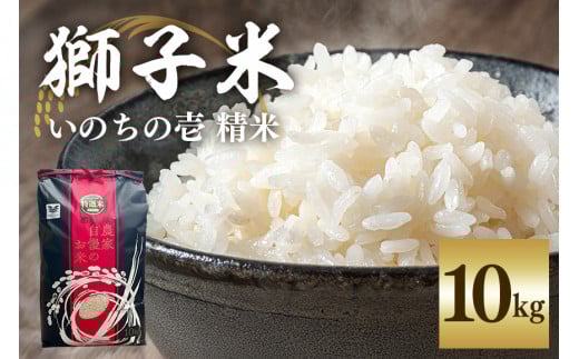 【令和6年産】獅子米 いのちの壱 精米 10kg 岡田ファーム コンテスト受賞米 お米 白米 米 おこめ ブランド米 10キロ 国産 単一原料米 コメ こめ ご飯 銘柄米 茨城県産 茨城 産直 産地直送 農家直送 ごはん 家庭用 贈答用 お取り寄せ 茨城県 石岡市 (B02-018)
