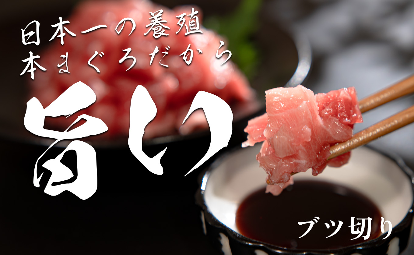 【高知県産 養殖本マグロ】ブツ切り600g 黒潮本まぐろ｜マグロ丼 最優秀賞受賞 日本一 本まぐろ クロマグロ 赤身 大トロ 中トロ トロ ミックス ぶつ切り まぐろ 鮪 小分け 個包装 ３種 丼 寿