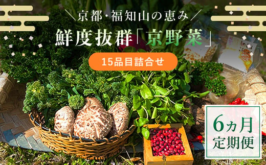 
【6ヵ月定期便】鮮度抜群「京野菜」15品目詰合せ ふるさと納税 京野菜 野菜 新鮮 15品目 詰合せ 定期便 6か月 京都府 福知山市
