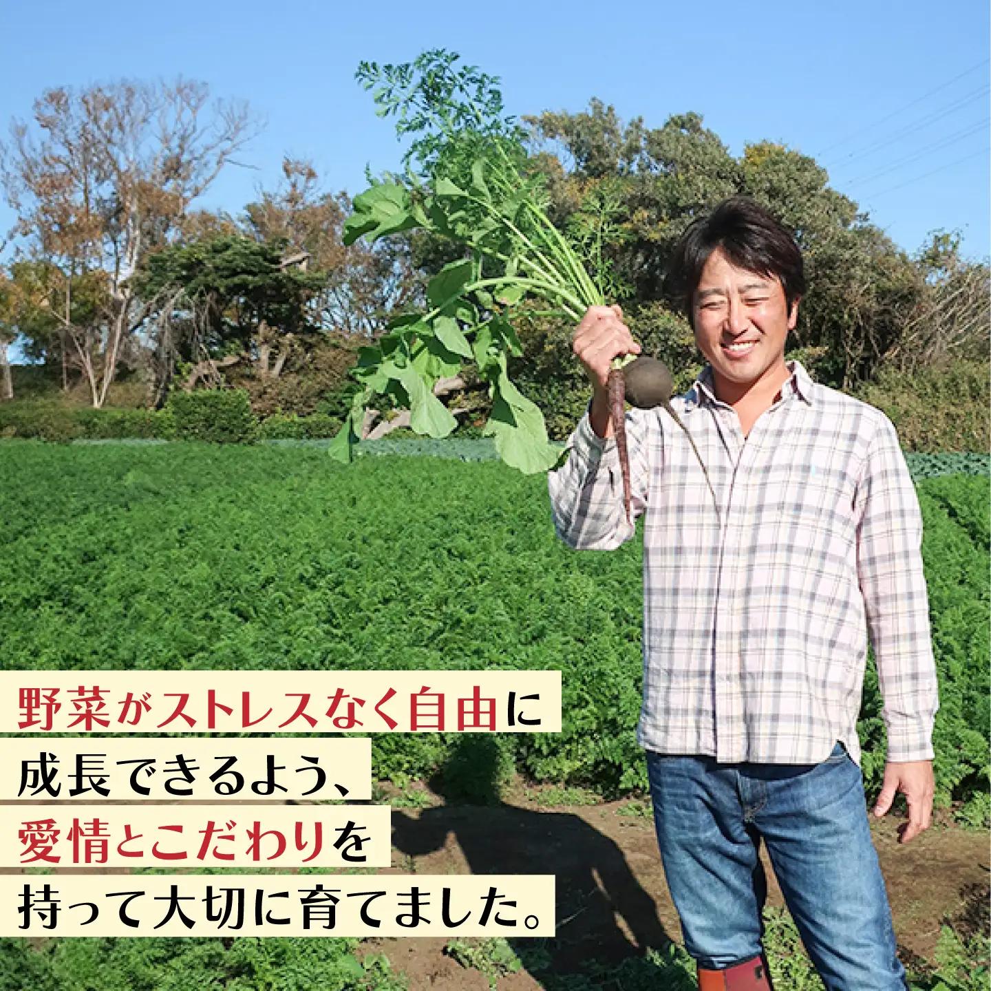 【ふるなびWEEK対象】先行予約 オクラ 約1kg AKCE023-FW オクラ