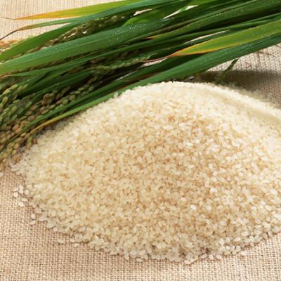 ふるさと納税 上越市 謙信秘蔵米5kg |  | 02