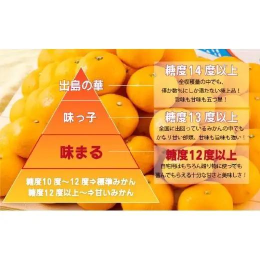 【 早期受付 】西海みかん 味まる 3kg 糖度12度以上 ブランドみかん 佐世保 【 11月発送 】