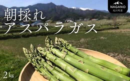KY02-26B 【先行予約】朝採りアスパラガス 約2kg（冷蔵便）／2026年4月中旬頃～順次発送 //長野県産 南信州産 春アスパラ 夏アスパラ アスパラ 野菜
