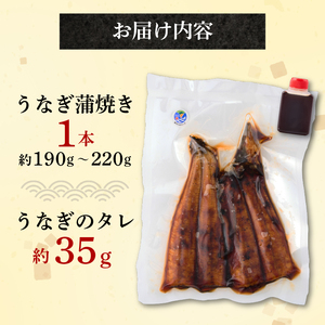 国産うなぎ蒲焼 1尾 (約190g) 【hn088】