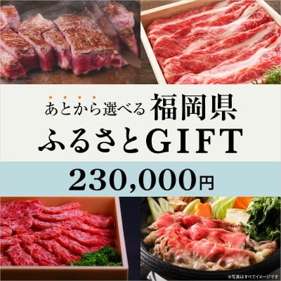 
            あとから選べる福岡県〈博多和牛〉カタログGIFT 寄付金額 230,000円【1698425】
          